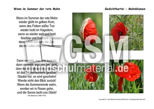 Wenn-im-Sommer-Bierbaum.pdf